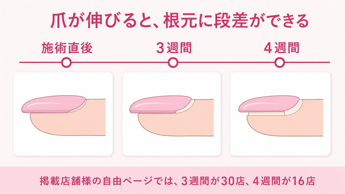 施術直後から4週間までに爪の根元へ段差ができる様子を示した図
