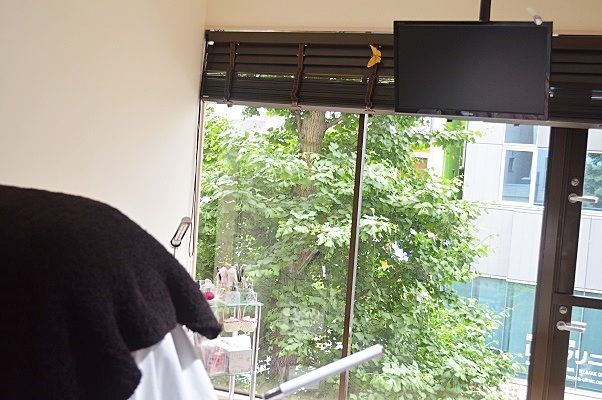 ネイルサロン