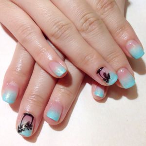 ヤシの木　グラデーション