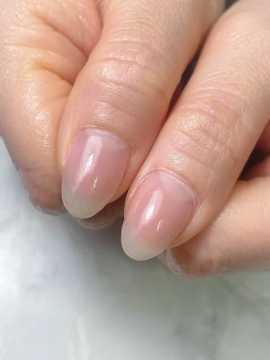 口コミランキング
