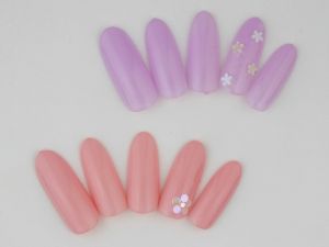 定額4,500円プラン