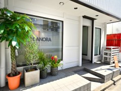 CANORA NAIL 【カノラ】