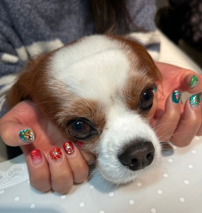 Nail CLASSY
