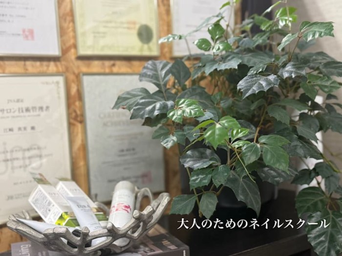 BEAUT-BUTTERFLY 町田店