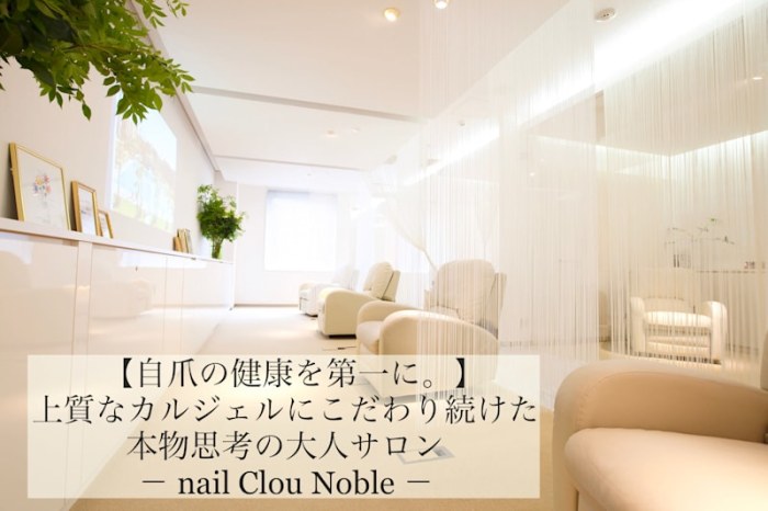 nail Clou Noble