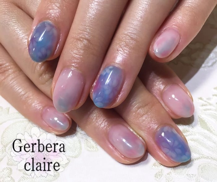 Gerbera claire